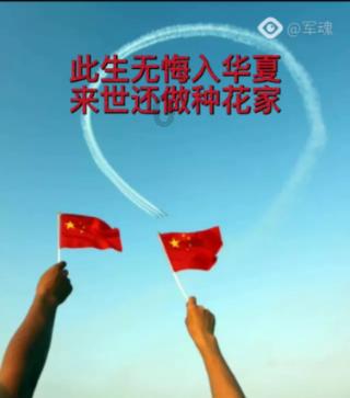 植物大战僵尸4